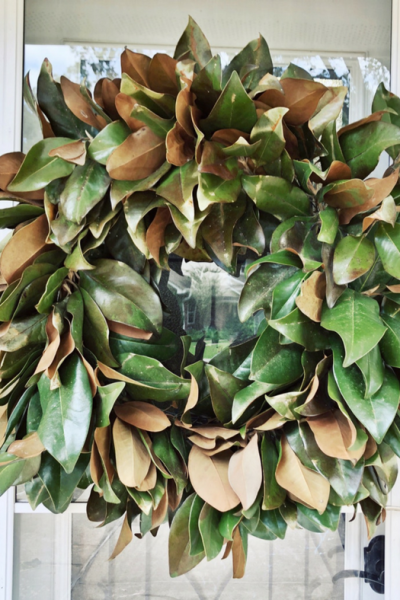 DIY real magnolia wreath for indoors or outdoors. Perfect hanging on the front door or above the mantel.