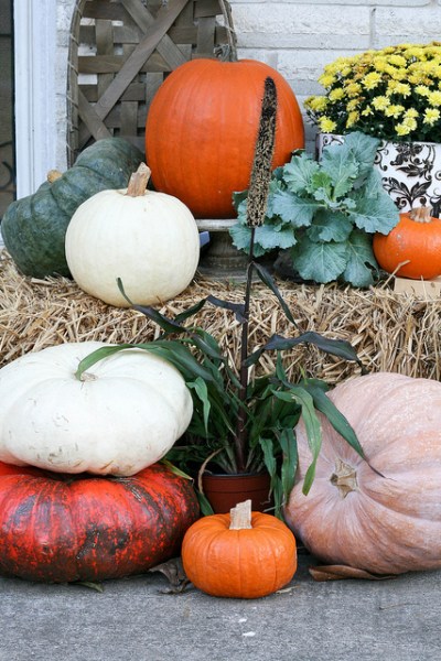 The air is crisp and the pumpkins are ripe. Fill your Fall Front Porch with color and variety.